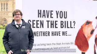 Kept Animals Bill | Battersea by Battersea Dogs and Cats Home 872 views 1 year ago 2 minutes, 45 seconds