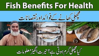 Fish Benefits For Health Machli Khane Ke Fayde Aur Nuksan In Urdu - Hindi Al - Razaqi Health Recover