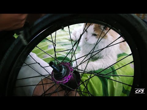 HOW TO REPLACE BROKEN SPOKES