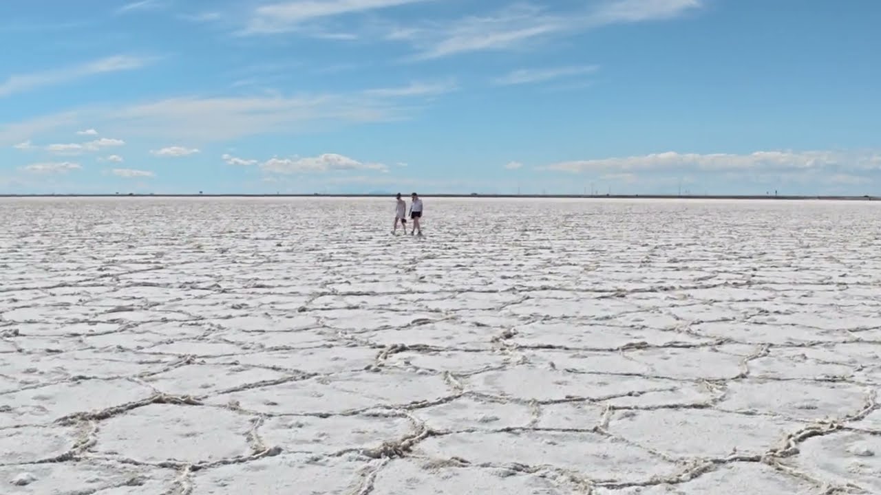 SUZU.1 フリーホイーラーズBonneville Salt Flats FREEWHEELERS フリー