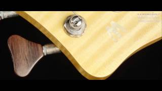 Warwick Custom Shop Masterbuilt - Streamer CV for Robert Trujillo