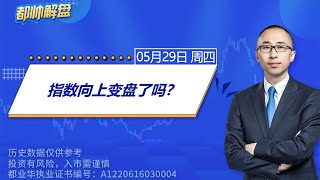 指数向上变盘了吗？ | 2025.05.29 周四 A股解盘 | #上证指数 #收评 #股票行情 #大盘分析 #都业华 #每日解盘 #缠中说禅 #中枢理论 #技术面分析