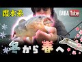 BABATube【霞水系】ミドストi字で早春を感じる