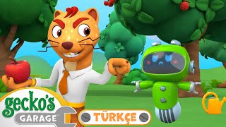 Ağaç Sever Yeşil 🌳 Yeni̇ 🐸 Geckonun Garajı - Çocuklar Için Kamyonlar