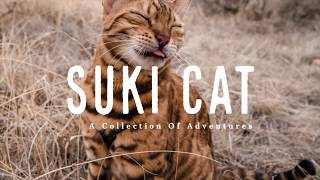 Suki's Adventures  Cat goes sledding and canoeing