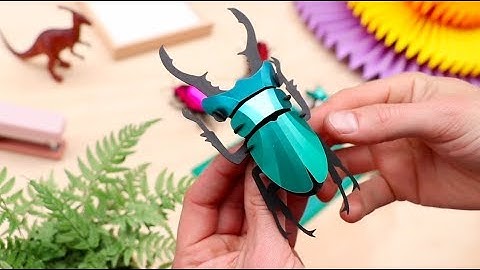 How to make our paper Stag Beetle | 3D Assembli insect puzzle