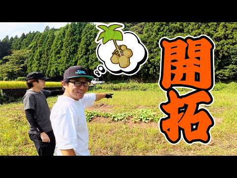 [320 Days Left] Planting Crops in the New Area‼️