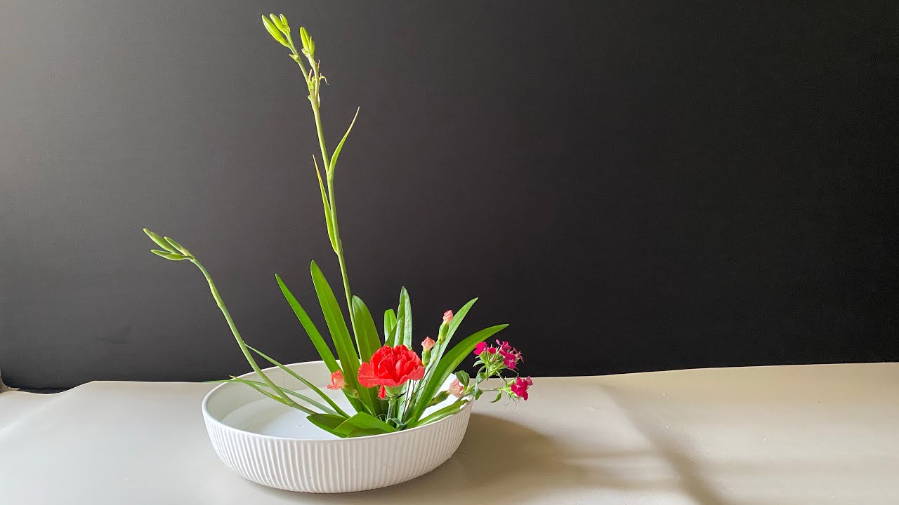 ☆早い者勝ち☆ 作例、文献付 生花格花花材事典 講談社 【公式通販】