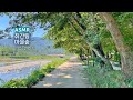 ASMR 취간림🌲푸른 물총새가 지저귀는 마을숲에서의 하루 | 숲소리, 피아노 Playlist