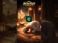 Join with Other Muslims on the "Prayer Lock" App