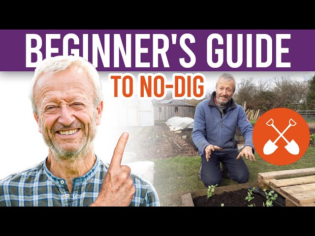 How to Start a No Dig Garden - Pass the Pistil