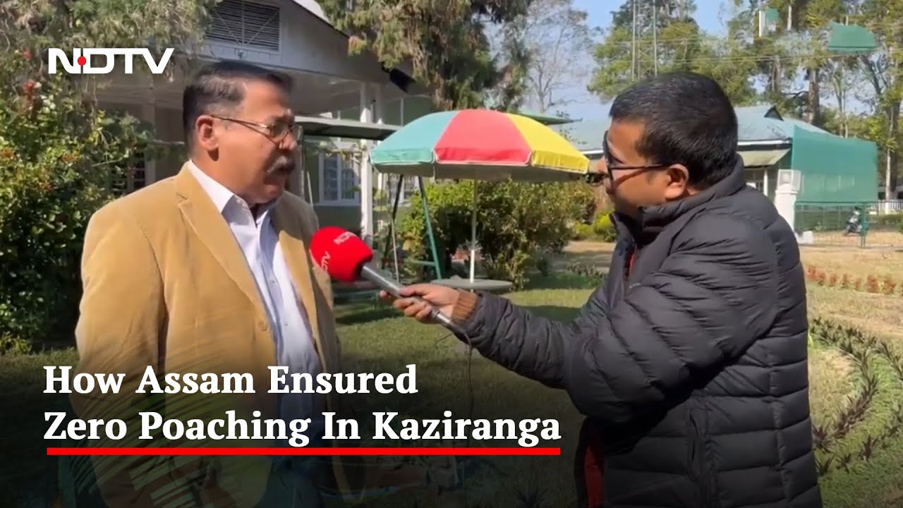 Zero Poaching How Assam Ensured Zero Poaching In Kaziranga - YouTube