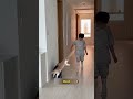 Little cat upset form this little boy