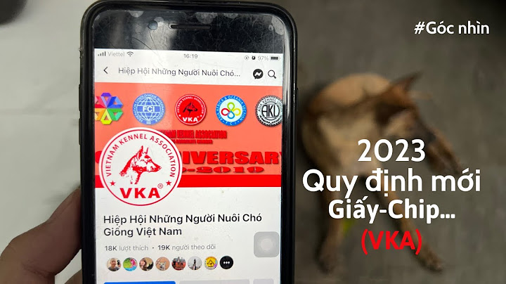 Làm giấy vka cho chó bao nhiêu tiền năm 2024