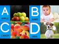 ABC Alphabet Explained | Fun Nursery Song for Kids