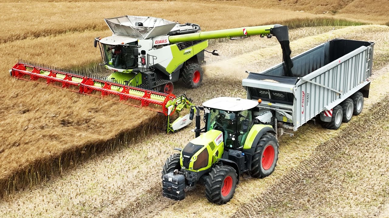 Claas Lexion 8900 Combine Harvesting Canola | Big  Harvest