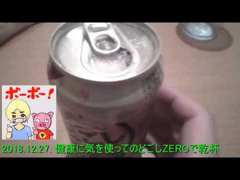 2018.12.27. 健康に気を使ってのどごしZEROで乾杯 【ガーベージセクション】