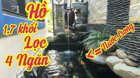 Hồ Cá Koi 1,7 Khối Đẹp - Bộ Lọc 4 Ngăn - Nước Trong + Cá Khỏe.Hồ Của Anh Ty Ở Quảng Ngãi.