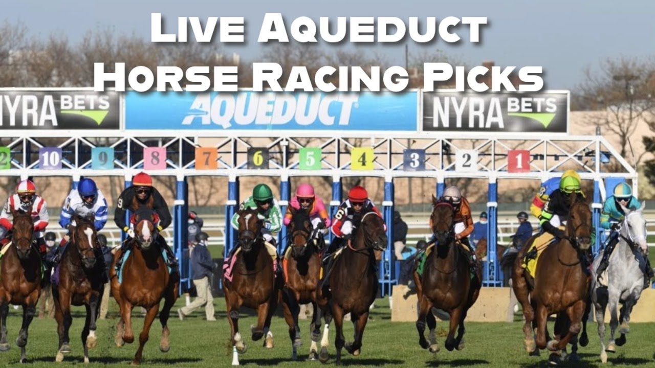 Aqueduct Live Racing Calendar Aqueduct Live Racing Calendar