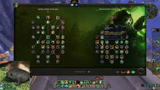 Dragonflight Alpha Brewmaster first impressions and builds