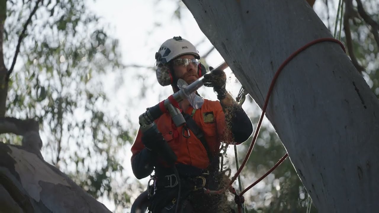 Banyule environment grant - Artificial wildlife hollows