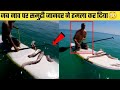 जानवरों की ये हरकत रिकॉर्ड हो गई वरना कोई यकीन नहीं करता | Animals Moments Caught on Camera (Part-4)