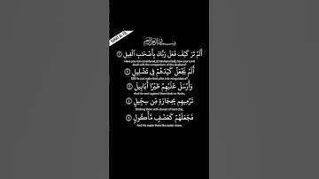 قرآن كريم احمد العجمي ✨🤍 #القران #لايك #احمد_العجمي #quran #اكسبلور #القاريء