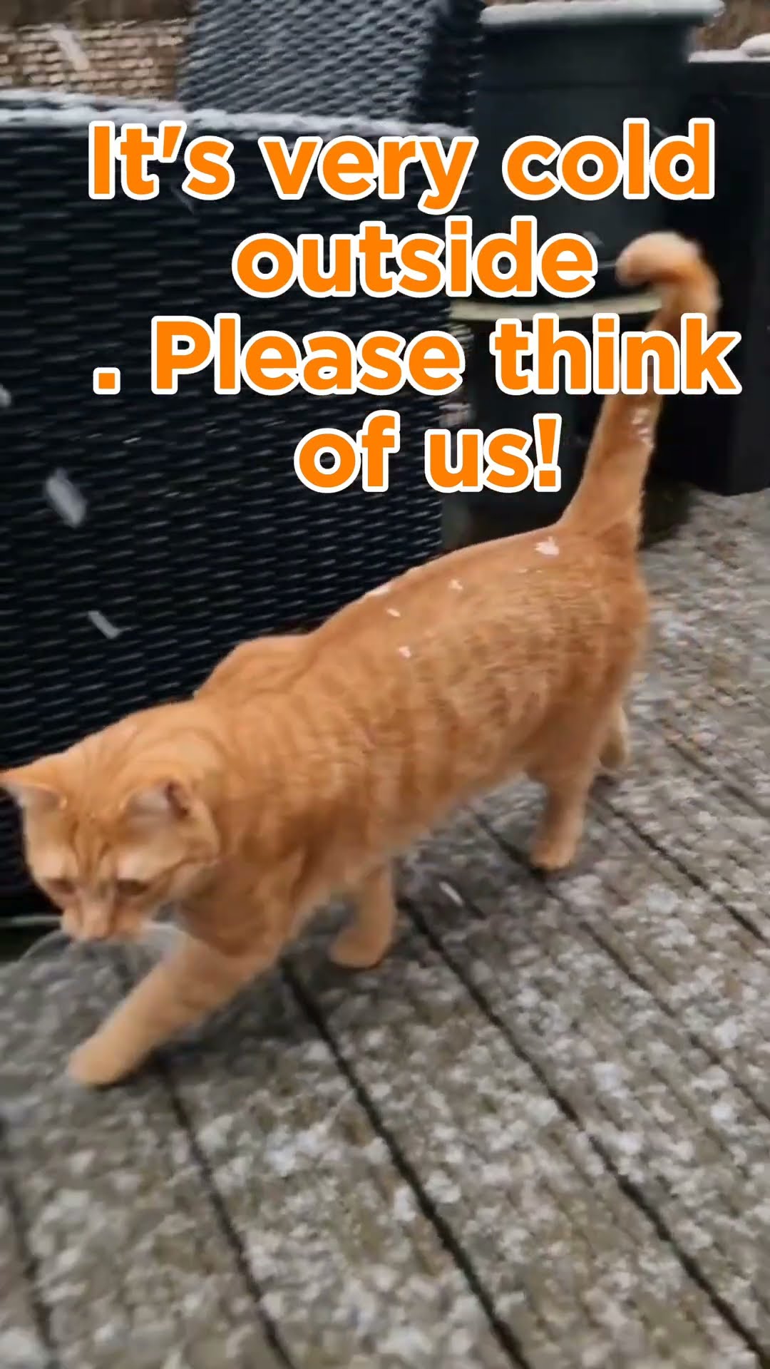 It's very cold outside. Please think of us!