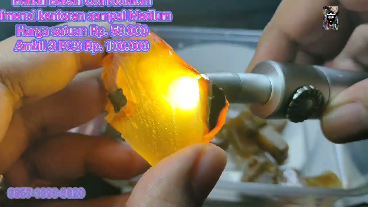 Bahan Bacan Obi Kuning Harga 100RB dapat 3 PCS 