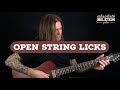 Open String Blues Guitar Licks