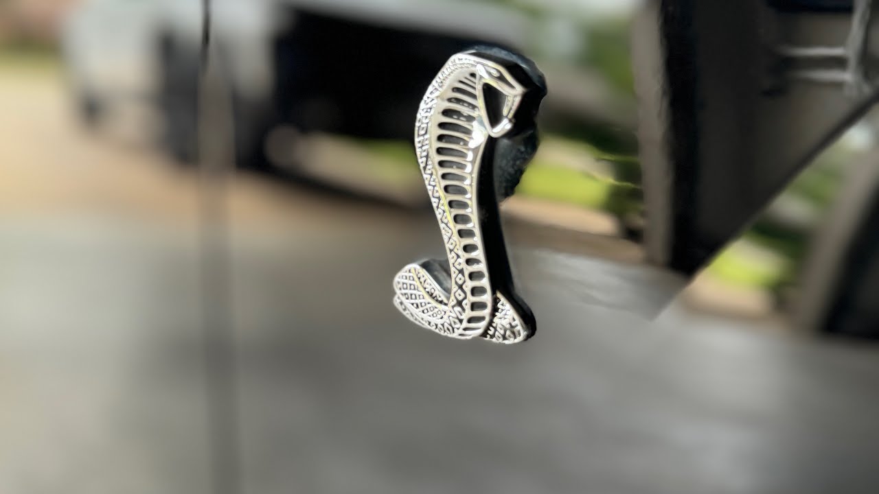 My Three Mustangs over 28 Years!!!