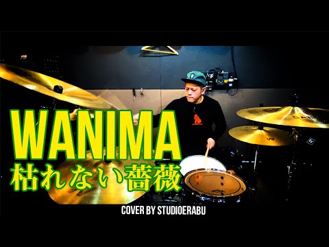 WANIMA 枯れない薔薇  叩いてみた【ドラム】｜Cover By Studio Erabu
