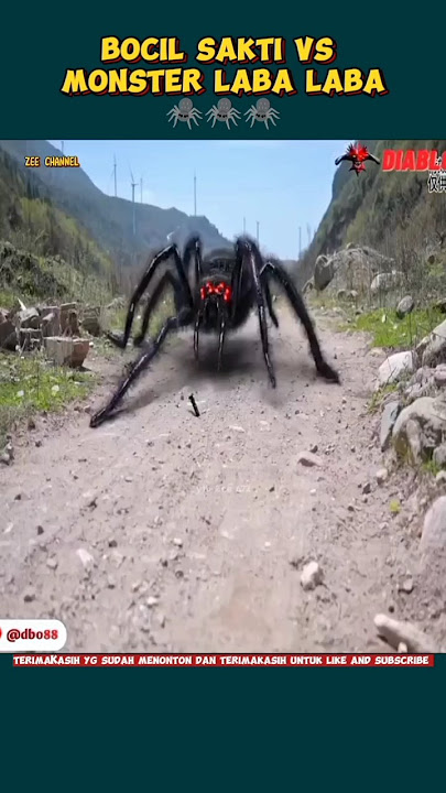 🕷️🕷️ANAK KEMBAR DI SERANG MONSTER LABA LABA#shorts#zee672#zeechannel