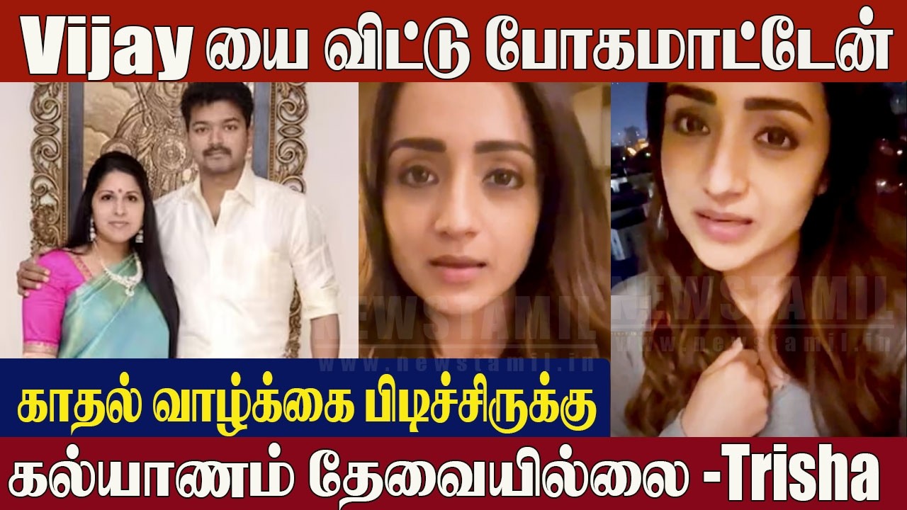 Trisha Breaks Silence On Vijay Divorce Issue😱