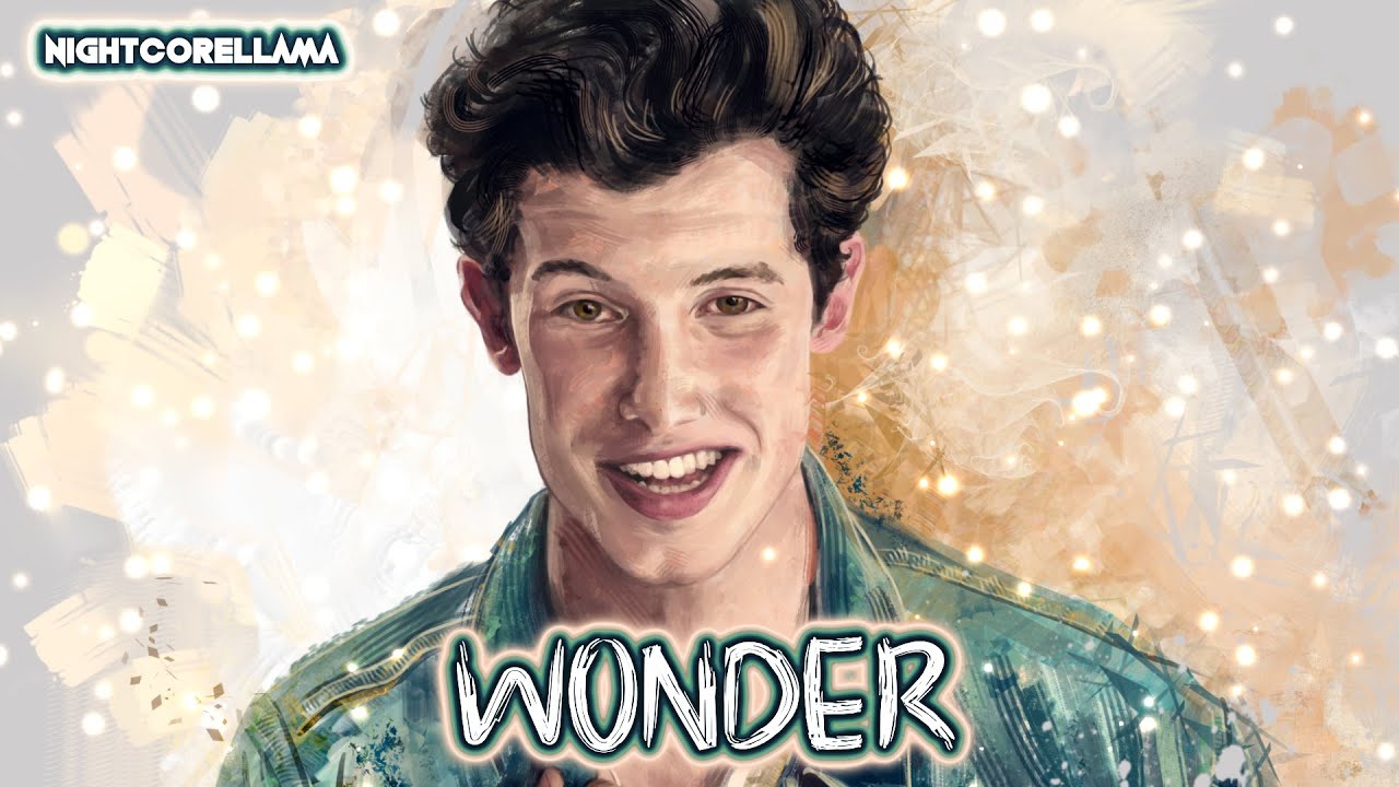 Shawn Mendes Wonder (Lyrics) Nightcore LLama Reshape YouTube