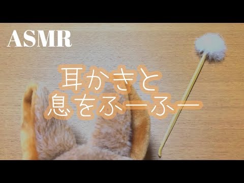 ASMR 耳かきと息をふーふー Ear Cleaning - No Talking