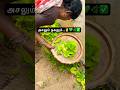 🤗Asalum nagalum..🌿✅💚✌️Naattu vallaarai.Home garden vlog#nature#healthyliving#shorts