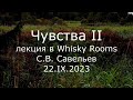 С.В. Савельев - Чувства II