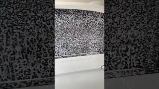 Bmw F30 Ön Yikamakwazar Foamervaletpro Snow Foam