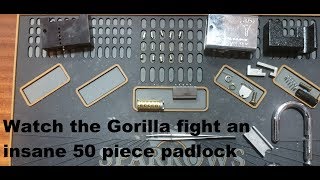 [118] Mul-T-Lock C series padlock picked blind - The Gorilla solves a problem