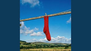 The Missing Sock