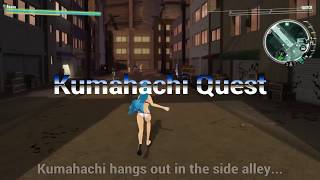 Awvssao In Depth Mr Bear Quest Kumahachi