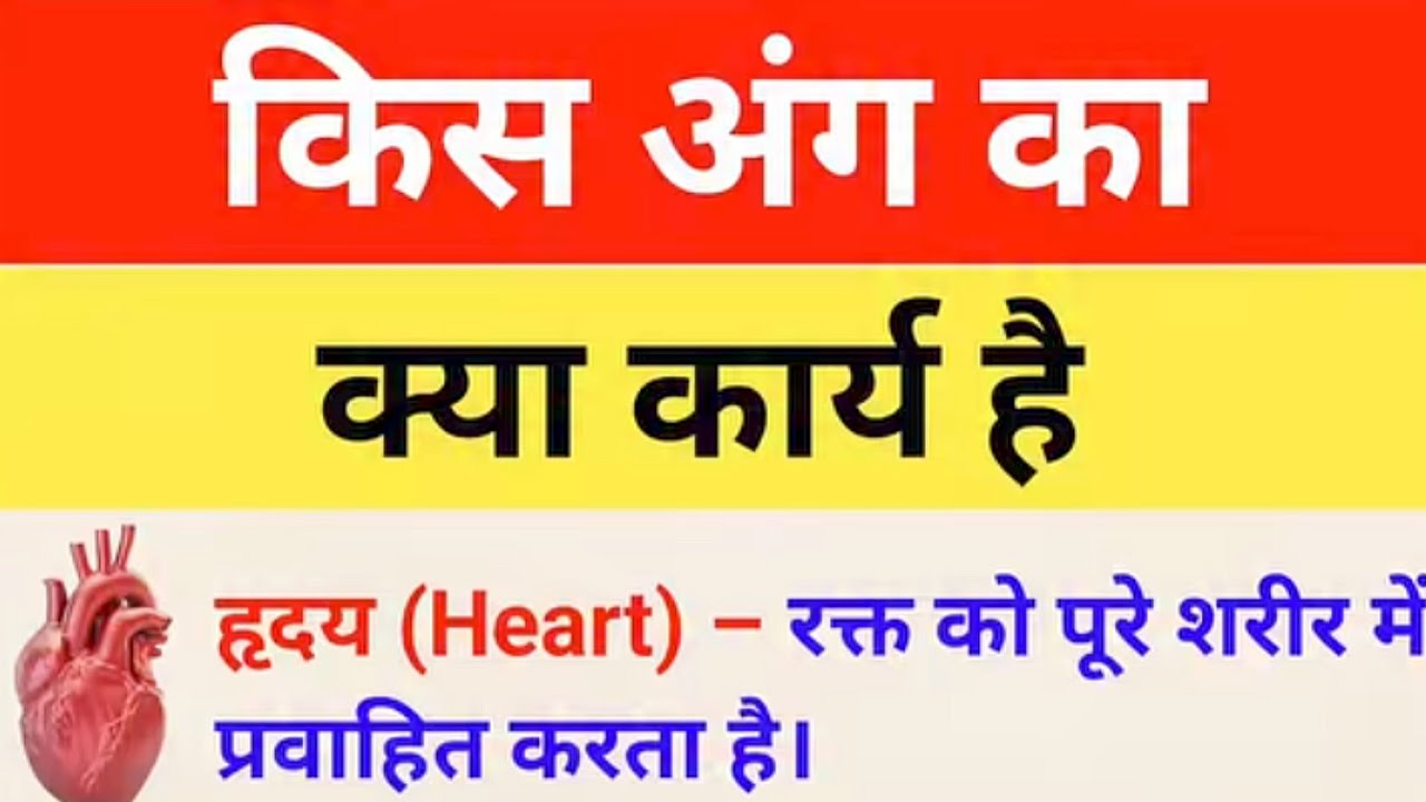 मानव शरीर के अंगों के अद्भुत कार्य! 🫀🧠 (Human Body Facts) अति महत्वपूर्ण प्रशन