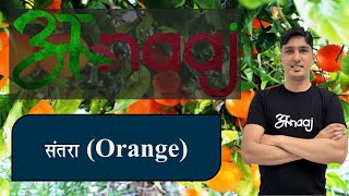 ORANGE [SANTRA ] के बारे में सब कुछ जानिए | CROP PROTECTION | Anaaj App screenshot 3