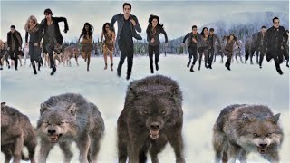 The Twilight Saga Breaking Dawn Parte 2 Il Massacro Finale lupi E Vdaniri Contro Volturi hd
