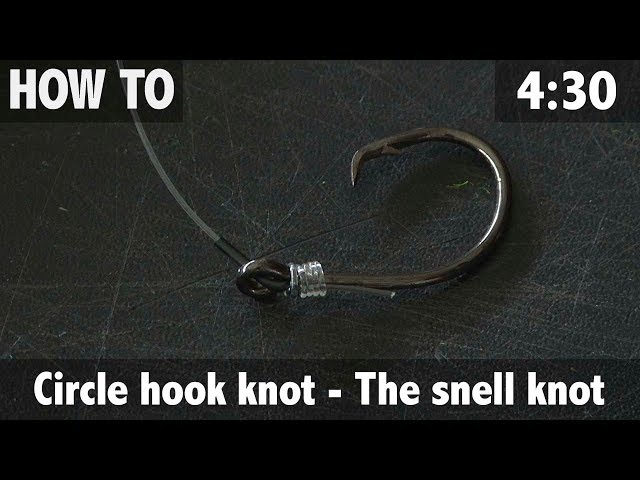 Circle Hook Knot - The Snell Knot 