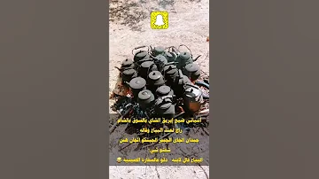نهفات ديرية 