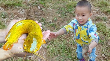 Em ổi giải cứu những con cá trê vàng bị mắc cạn  #cávàng #cátrêvàng #concá #fishing #fish