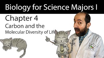Chapter 4 – Carbon and the Molecular Diversity of Life