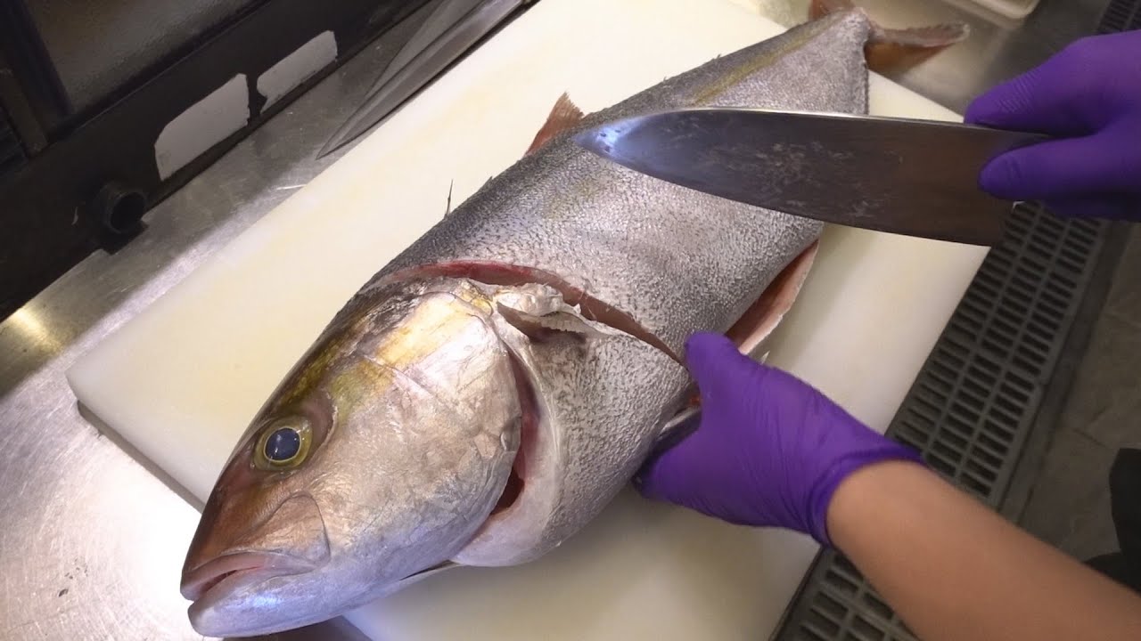 How to Cut an Amberjack for Sashimi / 紅甘魚切割技巧 Amberjack Cutting Skill